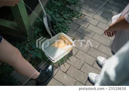 elementary student, primary school child, primary school student 23528638