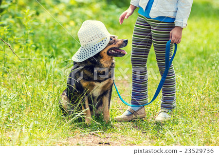 Little girl playing with dog on the grass 23529736