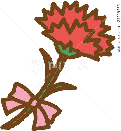 Carnation Carnation 23529776