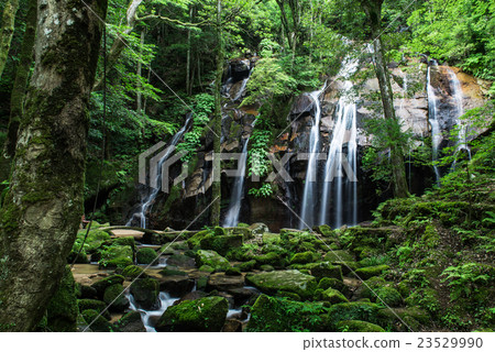 Goldfall Falls 23529990