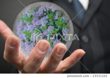 Moon flower composition CG hand image Moon flower composition CG hand image 23531101