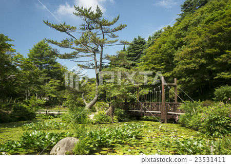 水湖池塘和木頭橋樑 23531411