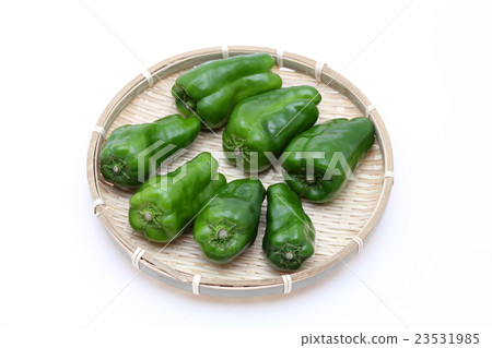 green pepper  23531985
