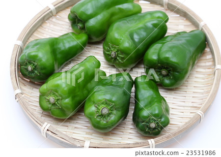 green pepper  23531986