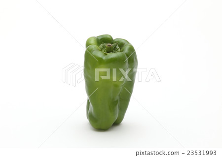 green pepper green pepper 23531993