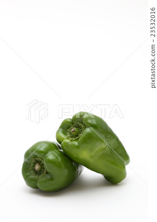 green pepper green pepper 23532016