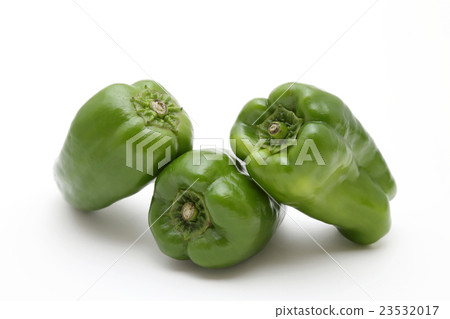green pepper green pepper 23532017