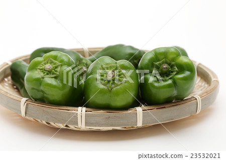 green pepper green pepper 23532021