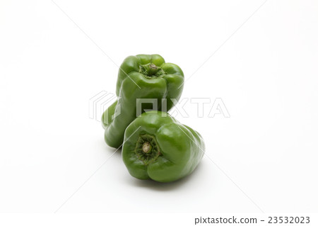 green pepper green pepper 23532023