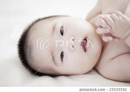 baby   23533592