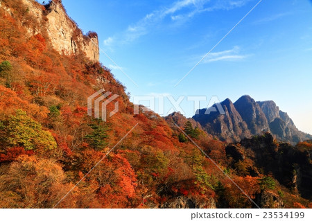從Mogi山方式路和索馬山看見的秋季葉子 23534199