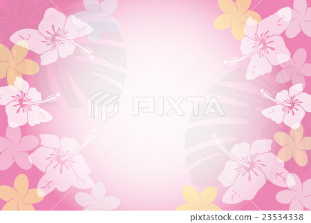 芙蓉和雞蛋花背景 23534338