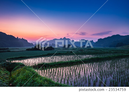 清晨Tamimuso 23534759