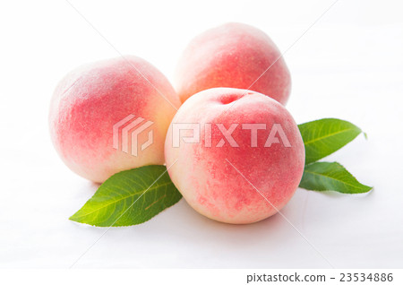peach  23534886