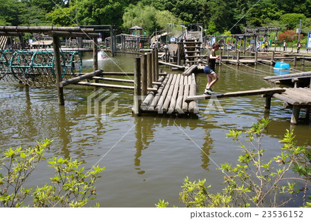 水上運動/清水公園（千葉縣野田市） 23536152