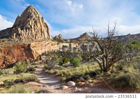 Capitol Reef National Park in Utah, USA Capitol Reef National Park in Utah, USA 23536531