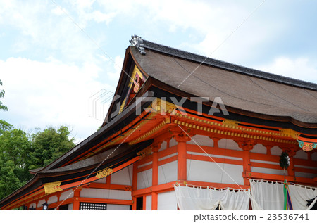 Inside the precinct of Kyoto Yasaka Shrine 23536741