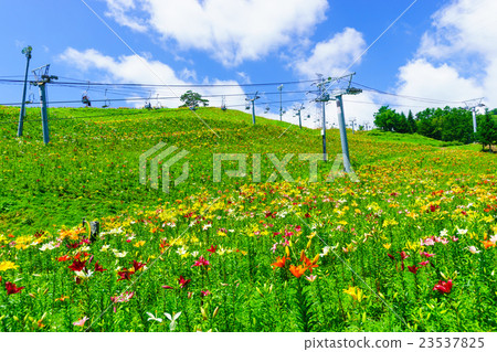 Dyna Land Yurien 23537825