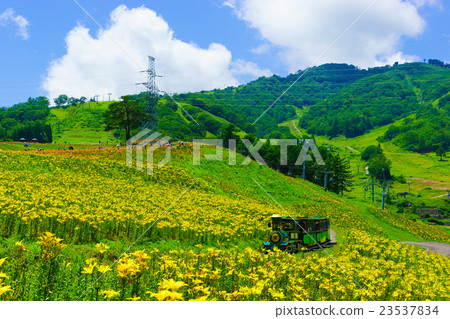 Dyna Land Yurien 23537834