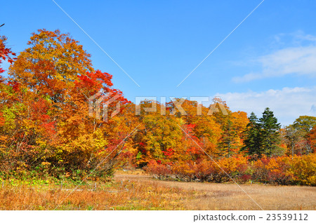 Heaven and moor 23539112