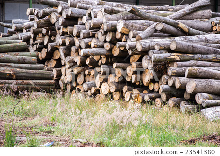 wood sawmill log crane timber wood sawmill log crane timber 23541380