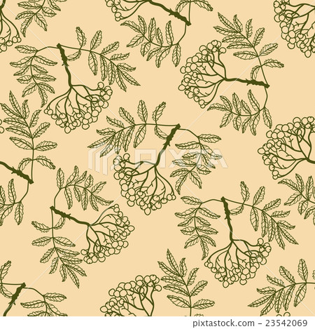 Rowan seamless pattern Rowan seamless pattern 23542069