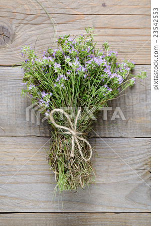 Bunch of thyme on wooden background Bunch of thyme on wooden background 23542553