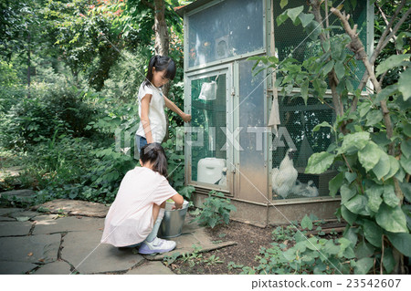 小學學生 小學生 小學 23542607