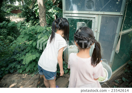 younger, girl, girls 23542614