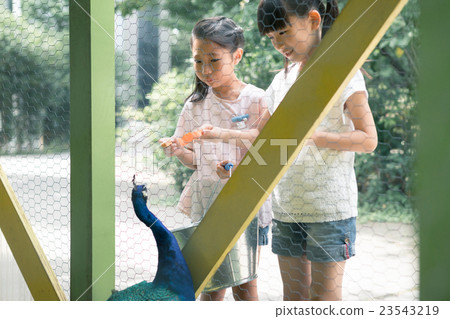 小學學生 小學生 小學 23543219