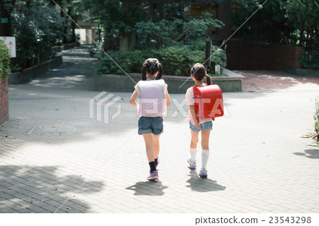 elementary student, primary school child, primary school student 23543298