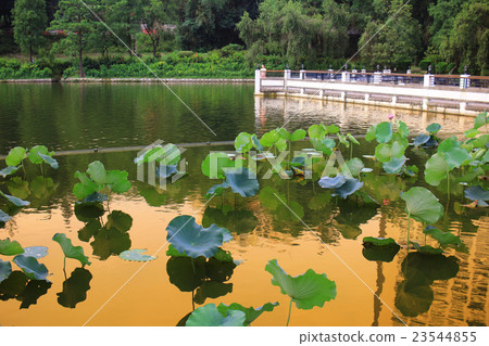 Reflection of the Lake CUHK Reflection of the Lake CUHK 23544855