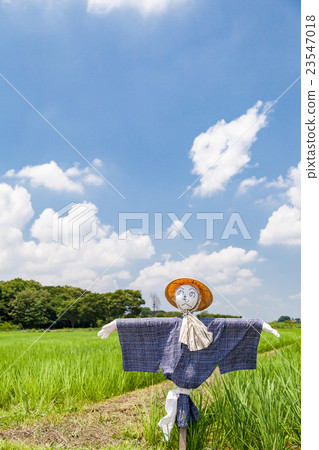 Scarecrow of Numanuma rice field Scarecrow of Numanuma rice field 23547018