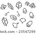 Leaf, Acorn 23547299
