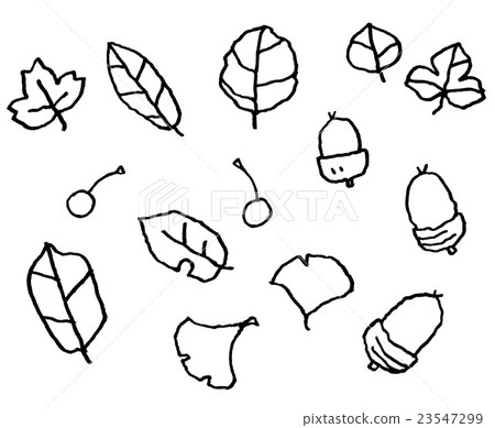 Leaf, Acorn 23547299