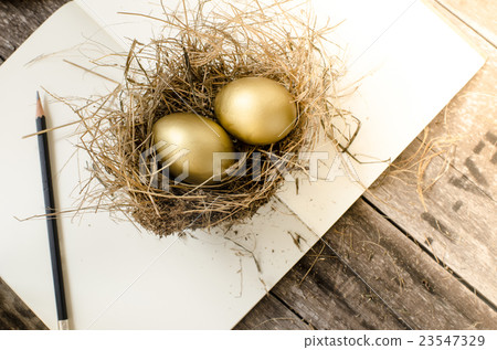 golden egg, pocket watch in the nest, notebook golden egg, pocket watch in the nest, notebook 23547329