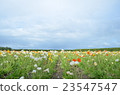 Blue sky and colorful 23547547
