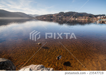 Holiday in Germany - Lake Titisee, Black Forest Holiday in Germany - Lake Titisee, Black Forest 23547719