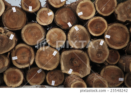 一座山的日誌 23548242