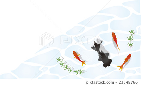 金魚方形框架1游泳在水錶面 金魚方形框架1游泳在水錶面 23549760