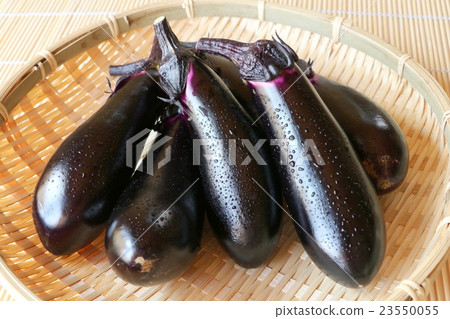 茄子 23550055