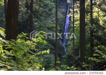 新鮮的瀑布 23550162