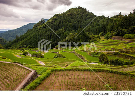 Melted rice terrace 23550781