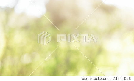 abstract natural real lens bokeh, summertime abstract natural real lens bokeh, summertime 23551098