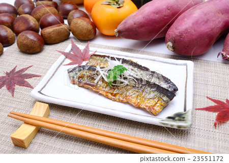Pacific saury 23551172