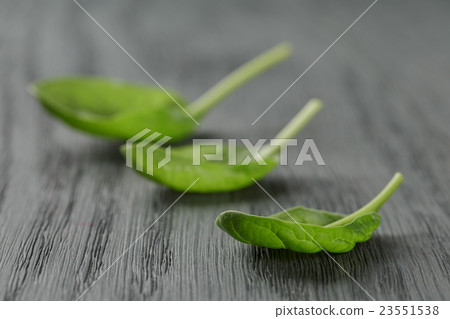 fresh spinach leaves on wood table 23551538