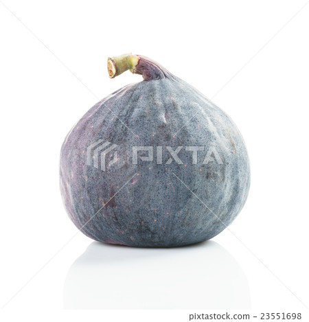 fresh ripe single fig isolated on white fresh ripe single fig isolated on white 23551698