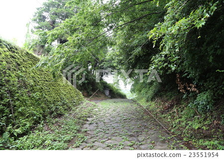 多雨的箱根老高速公路鵝卵石鋪就的道路 23551954