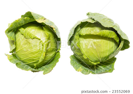 Top view of closeup two cabbage on isolated white Top view of closeup two cabbage on isolated white 23552069