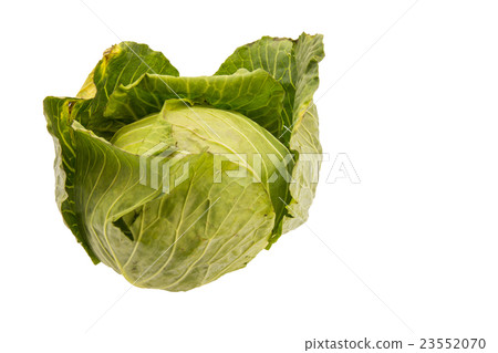 Closeup cabbage on isolated white background 23552070